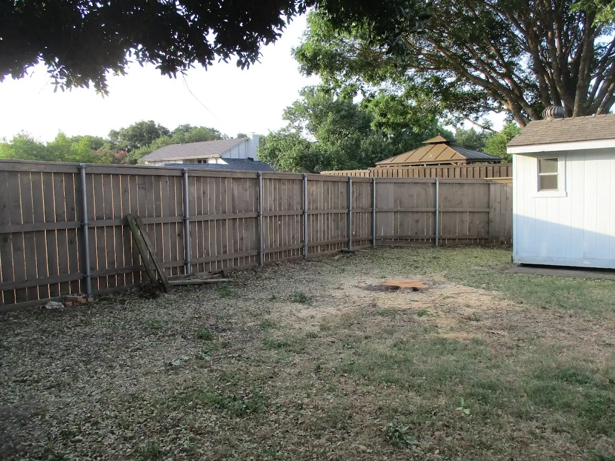 Cleared yard after professional tree removal in Atlantic